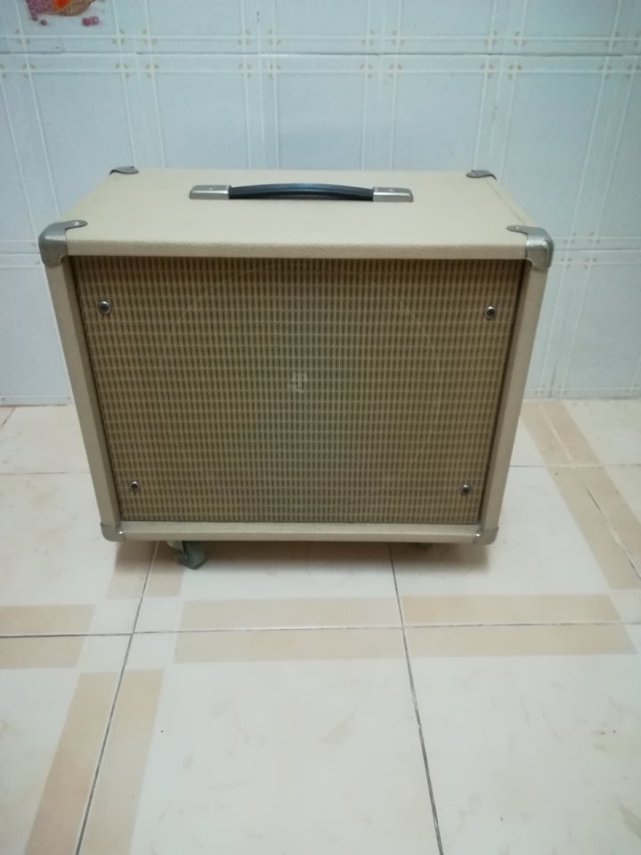 Pantalla guitarra 1x12 altavoz Electrovoice  EV EVM 12L Classic 8 Ohm