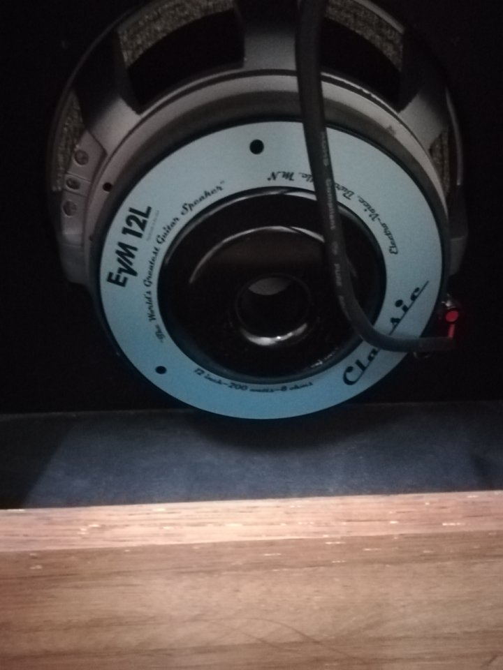 Pantalla guitarra 1x12 altavoz Electrovoice  EV EVM 12L Classic 8 Ohm