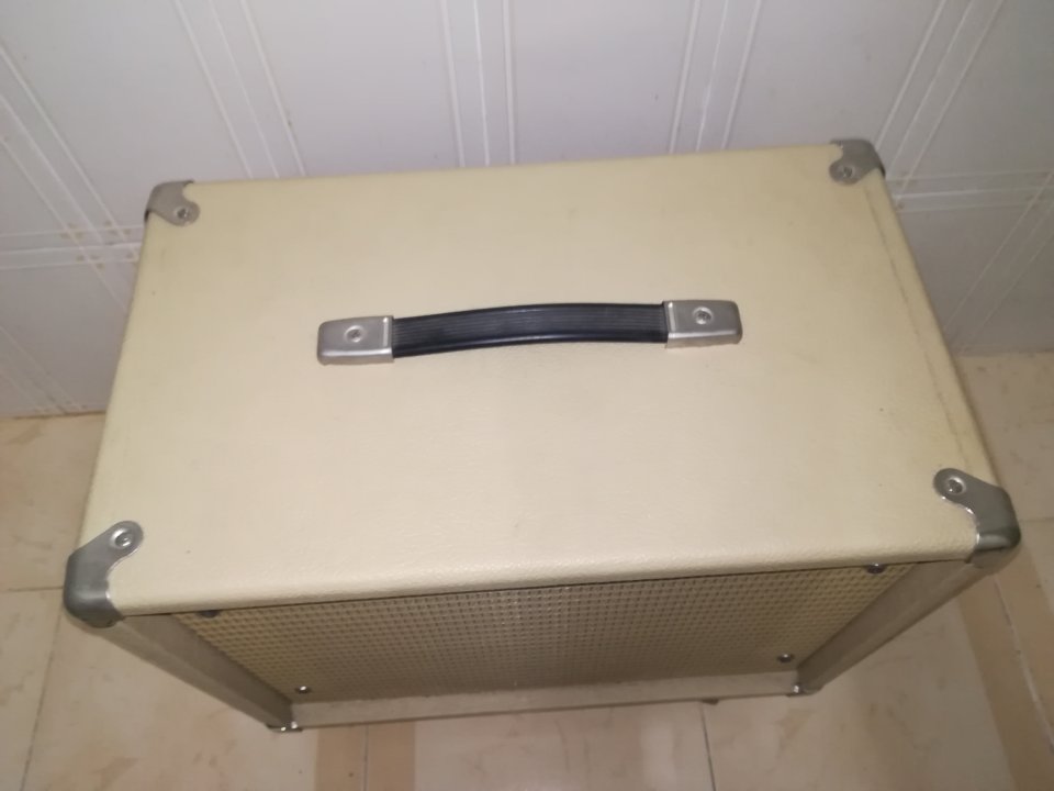 Pantalla guitarra 1x12 altavoz Electrovoice  EV EVM 12L Classic 8 Ohm