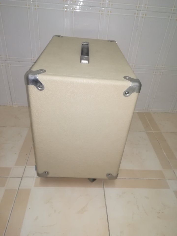 Pantalla guitarra 1x12 altavoz Electrovoice  EV EVM 12L Classic 8 Ohm