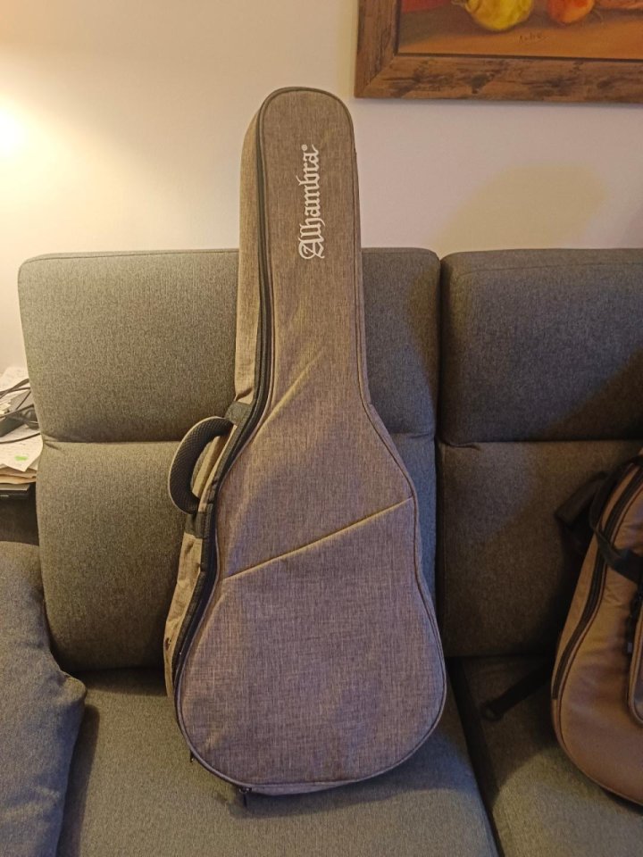 Guitarra Clásica Alhambra C2