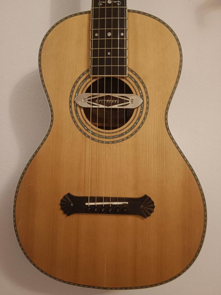 Washburn R315 KK 125 Aniversario