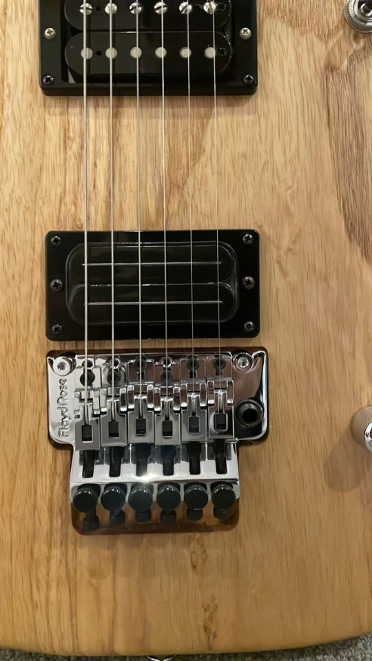 Washburn N4 (no cambios) de segunda mano · Foto 3 de 5 · Cádiz · 2200 €