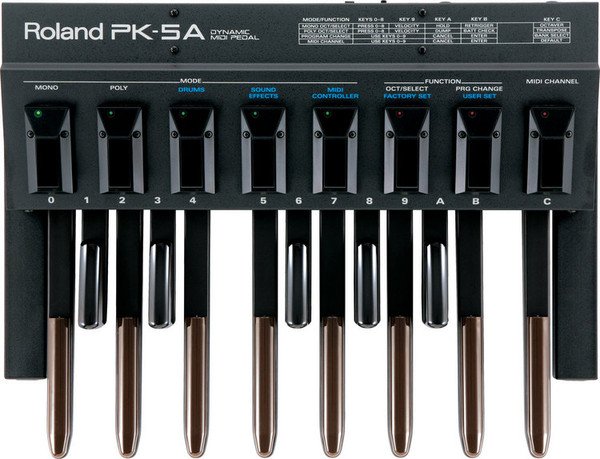 Roland Pk-5A o Similar