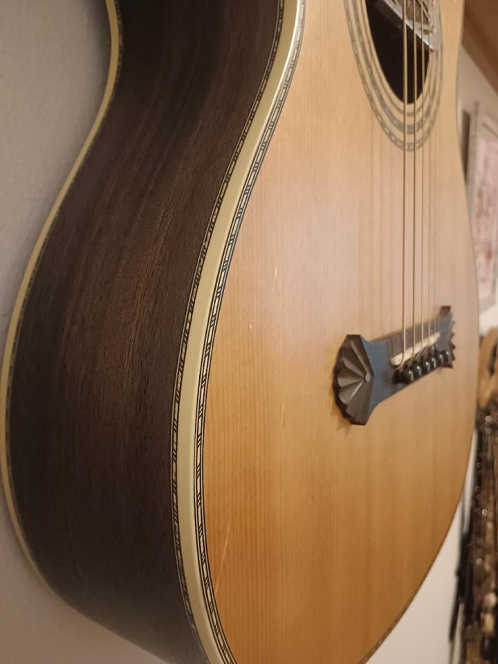 Washburn R315 KK 125 Aniversario