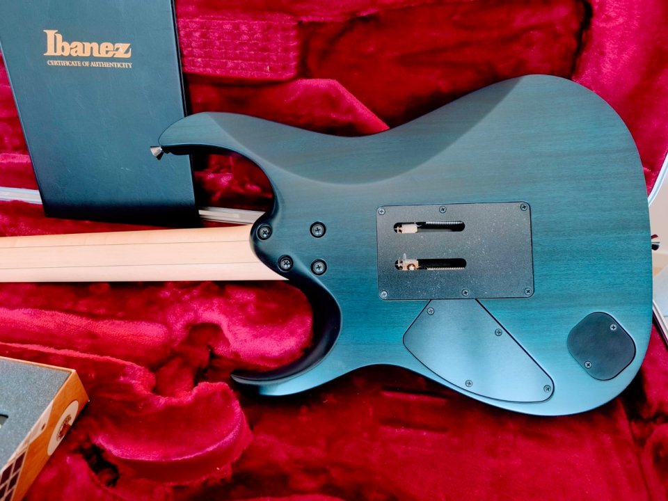 IBANEZ RGA 8420 SDF J. Custom (Bare Knuckle) de segunda mano · Foto 6 de 10 · Sevilla · 3000 €
