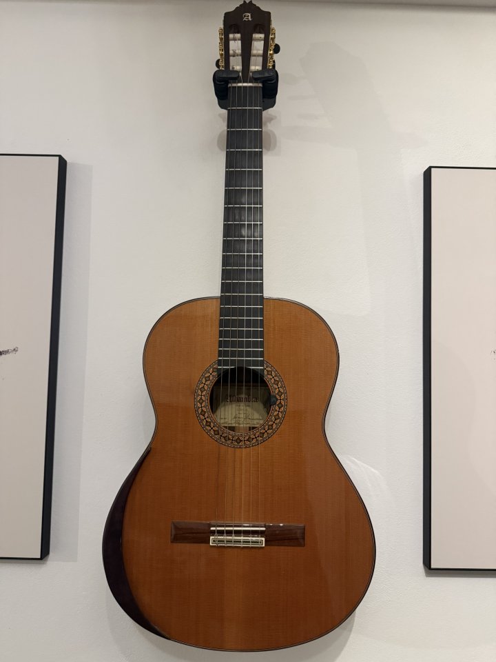 Vendo guitarra Alhambra 8P como nueva