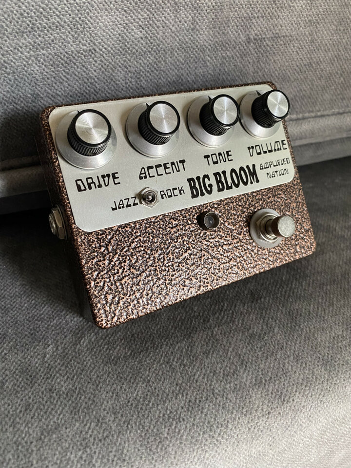 Big bloom de Amplified Nation