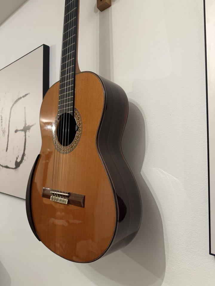 Vendo guitarra Alhambra 8P como nueva