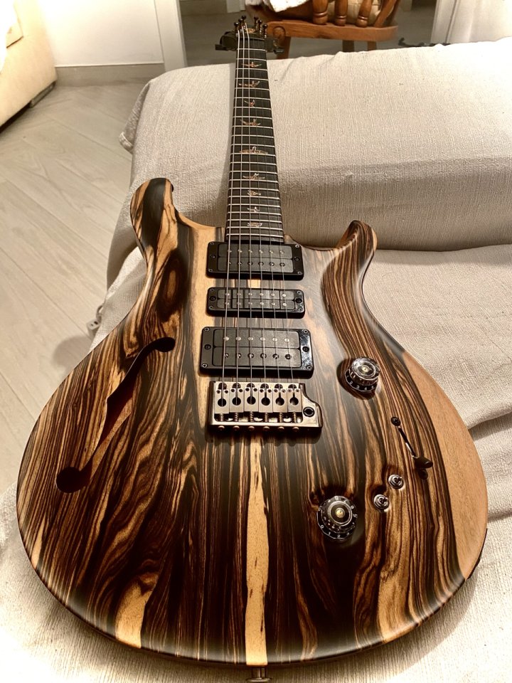 Prs Private stock special Semihollow de segunda mano · Foto 1 de 10 · Almería · 11000 €