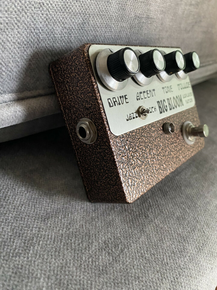 Big bloom de Amplified Nation