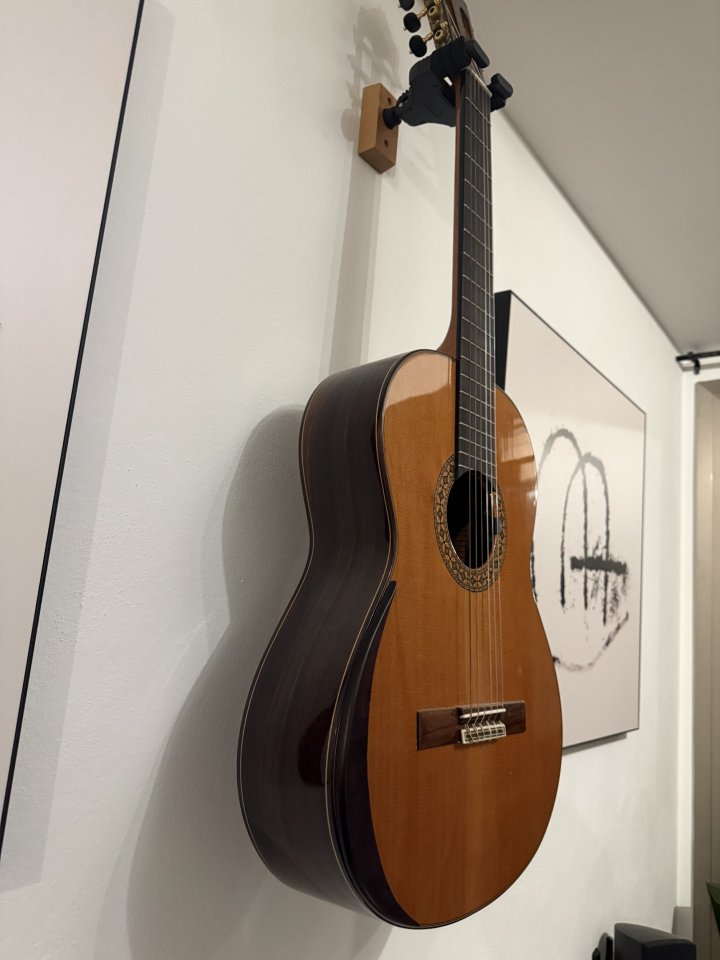 Vendo guitarra Alhambra 8P como nueva