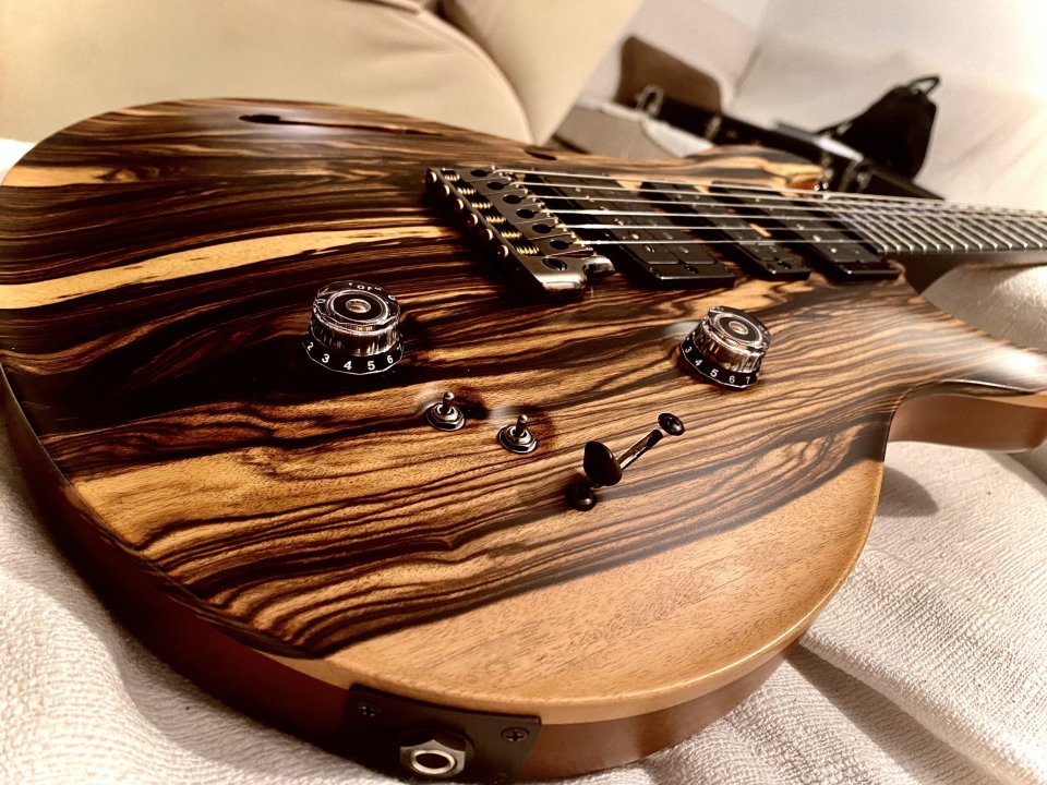 Prs Private stock special Semihollow de segunda mano · Foto 2 de 10 · Almería · 11000 €