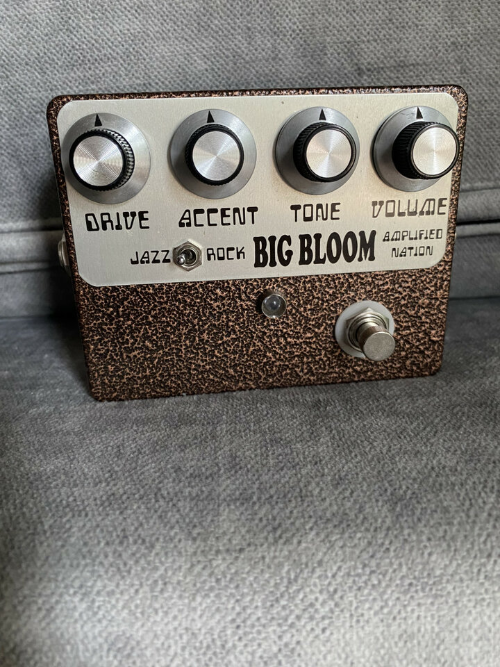 Big bloom de Amplified Nation