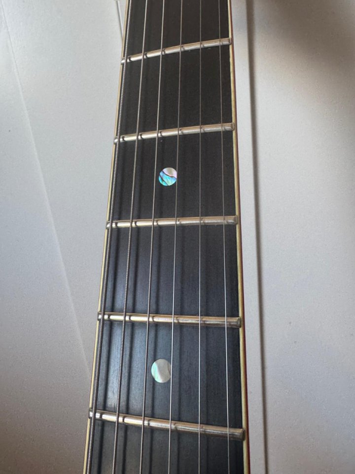 Heartfield Elan by Fender