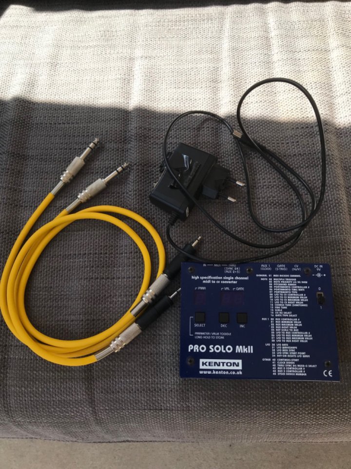 Korg MS20 original + Kenton Pro Solo MKII + cables