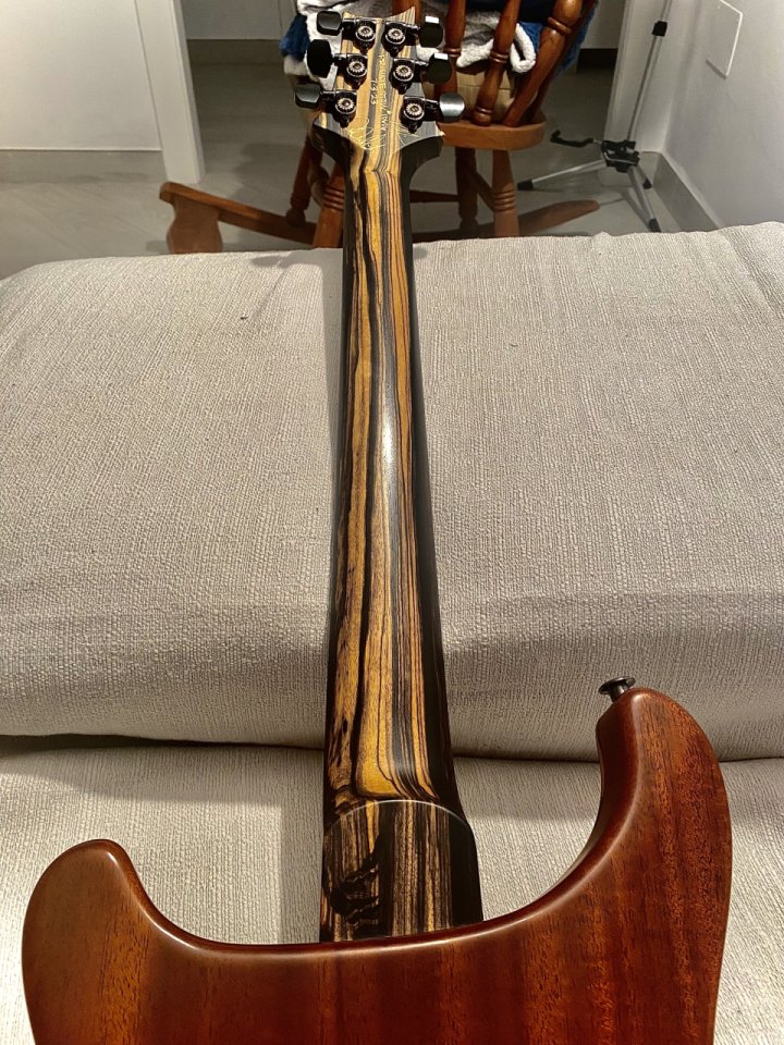 Prs Private stock special Semihollow de segunda mano · Foto 3 de 10 · Almería · 11000 €