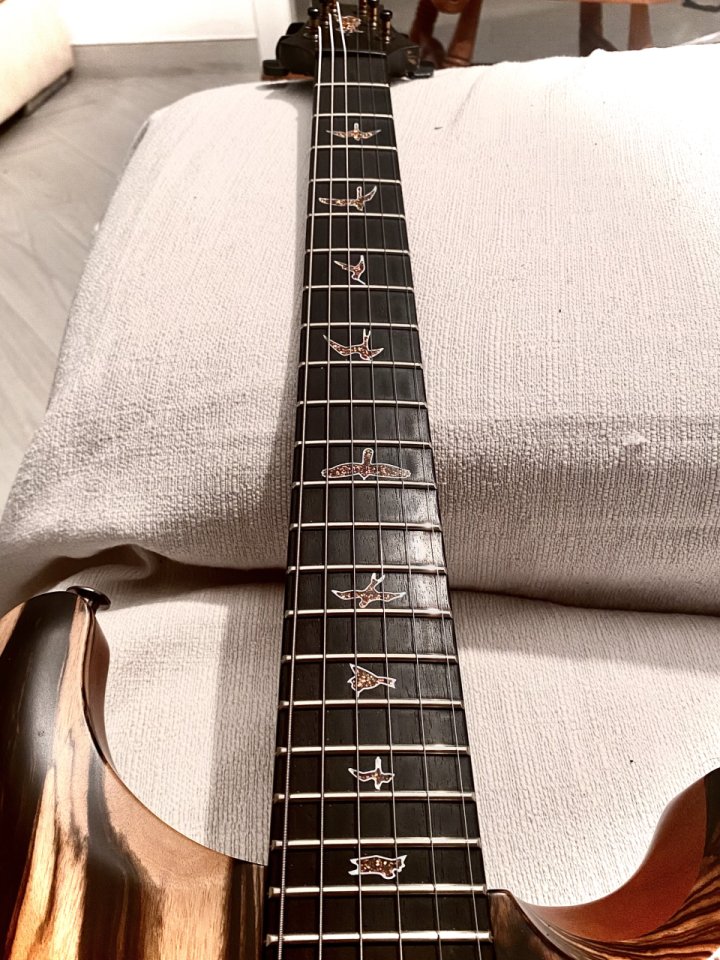 Prs Private stock special Semihollow de segunda mano · Foto 4 de 10 · Almería · 11000 €