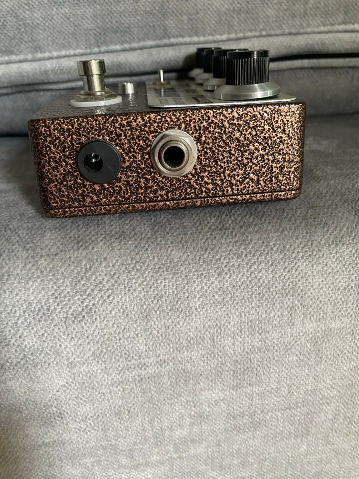 Big bloom de Amplified Nation