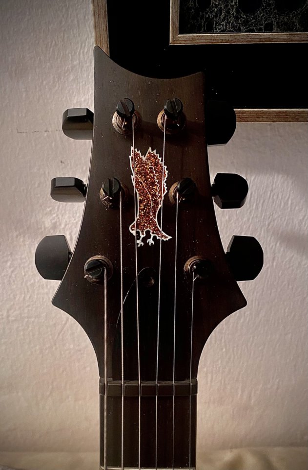 Prs Private stock special Semihollow de segunda mano · Foto 5 de 10 · Almería · 11000 €