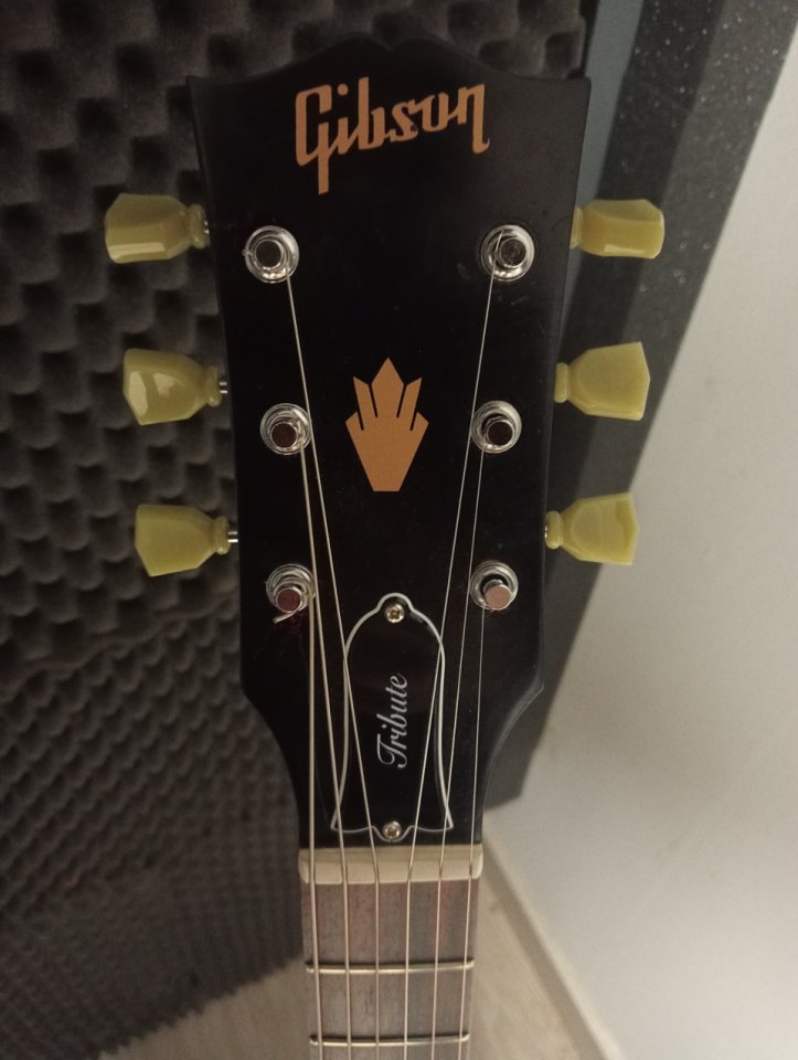 Gibson SG TRIBUTE de segunda mano · Foto 5 de 6 · León · 1000 €