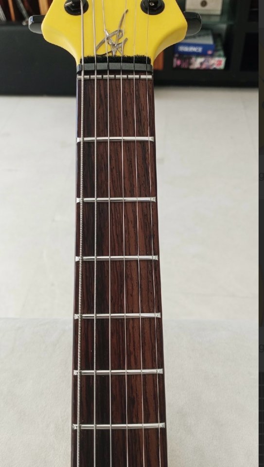 Vigier GV Mint de segunda mano · Foto 6 de 10 · Madrid · 2450 €