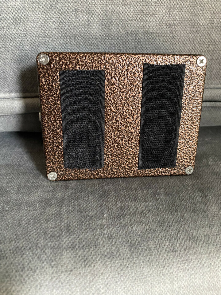 Big bloom de Amplified Nation