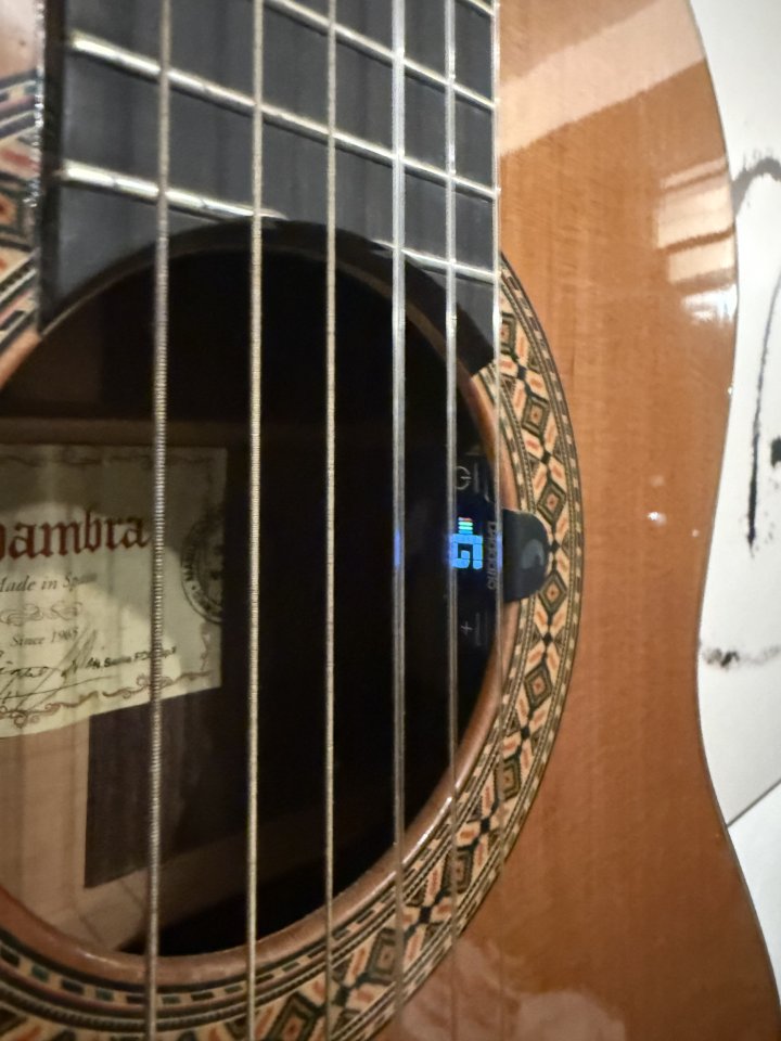 Vendo guitarra Alhambra 8P como nueva