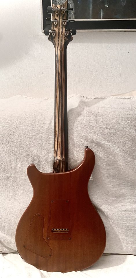 Prs Private stock special Semihollow de segunda mano · Foto 8 de 10 · Almería · 11000 €