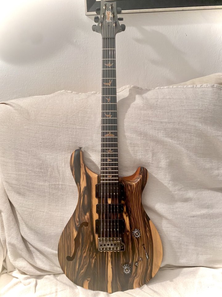 Prs Private stock special Semihollow de segunda mano · Foto 9 de 10 · Almería · 11000 €