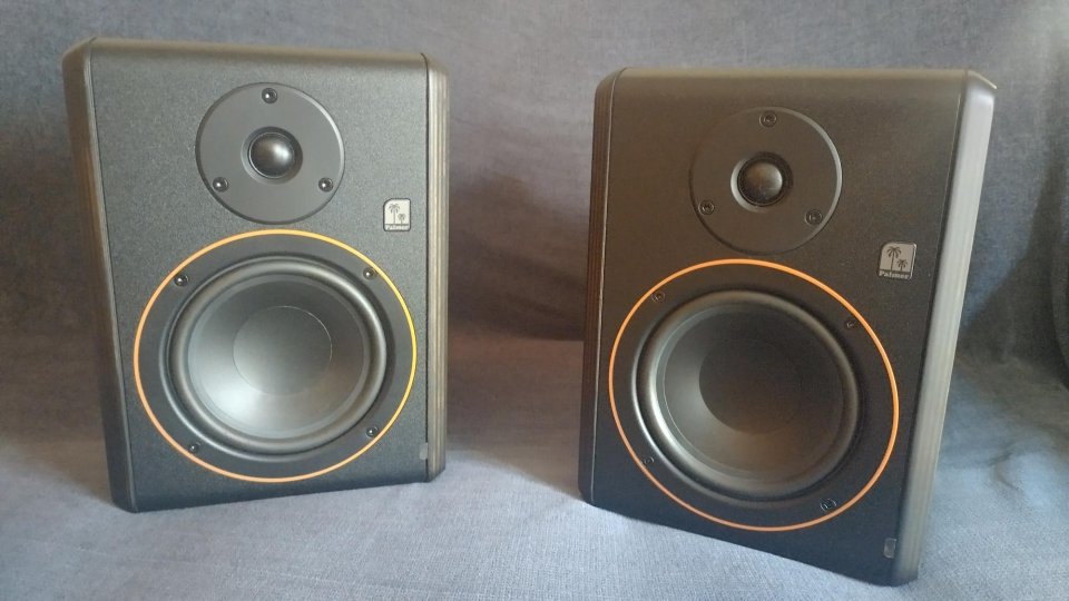 Monitores Palmer Studimon 5