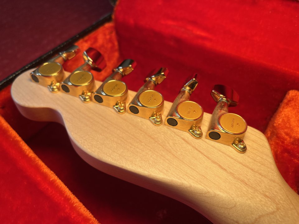 Fender Telecaster Richie Kotzen