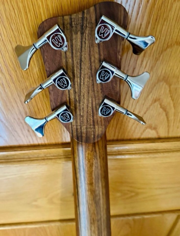 Warwick Teambuilt Pro GPS Streamer LX 6 Negro