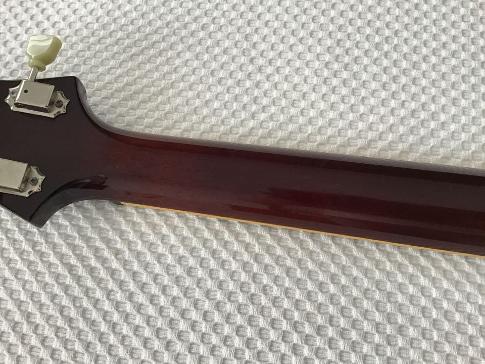 PRS USA Ted McCarty DC 245