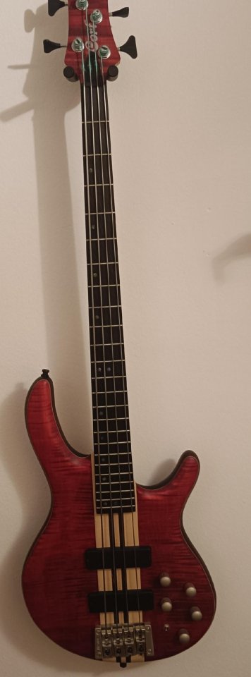 Cort A4 Plus FMMH OPBC