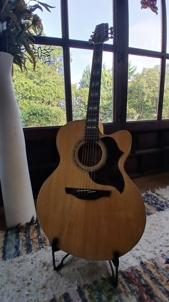 Takamine EG523 SC