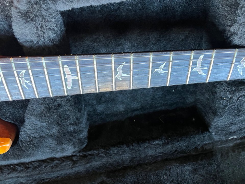 PRS Al Di Meola Prism Signature  2012