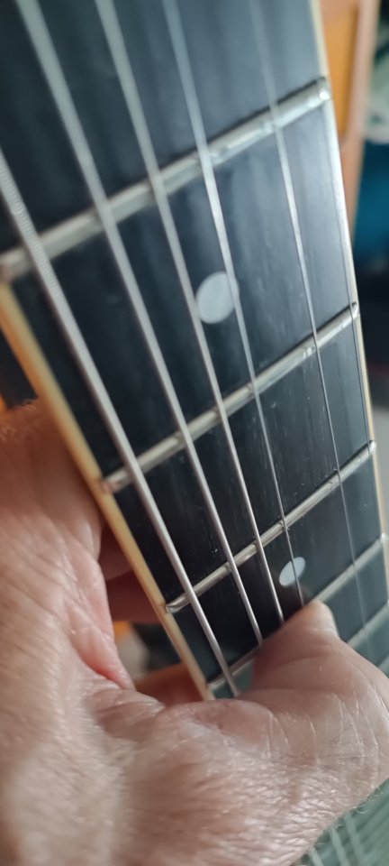 Schecter Corsair semihollow de segunda mano · Foto 6 de 6 · Araba · 700 €