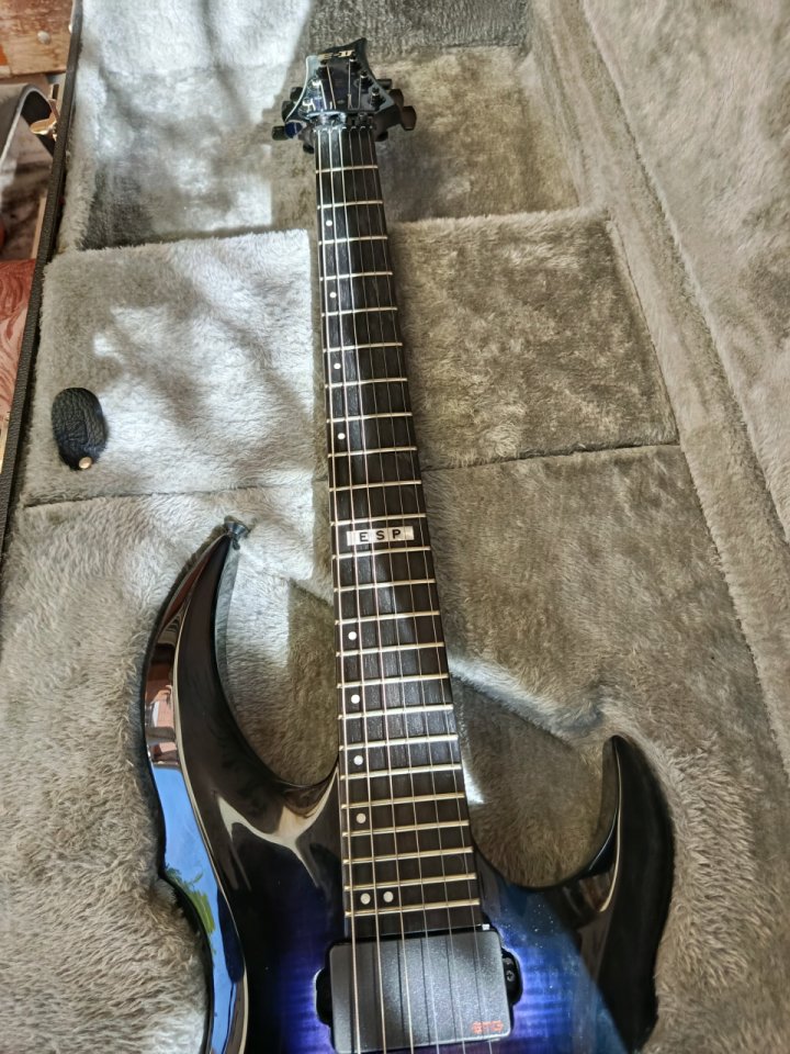ESP E-II FRX Reindeer Blue(acepto cambios) de segunda mano · Foto 5 de 10 · Madrid · 2200 €