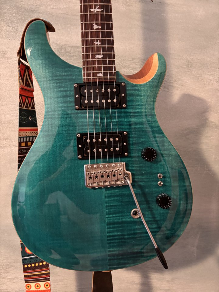 PRS SE Custom 24 08 de segunda mano · Foto 1 de 6 · Valencia · 700 €