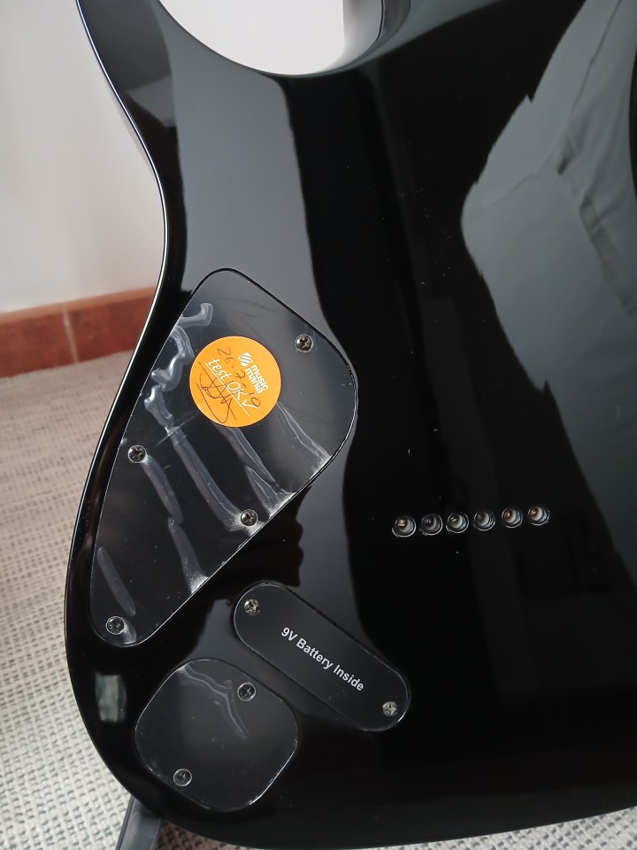 Ibanez RGT6EXFX de segunda mano · Foto 4 de 7 · Sevilla · 480 €