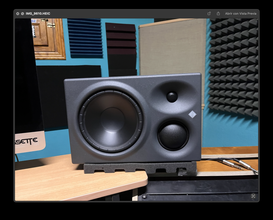 Monitores de estudio Neumann KH 310A