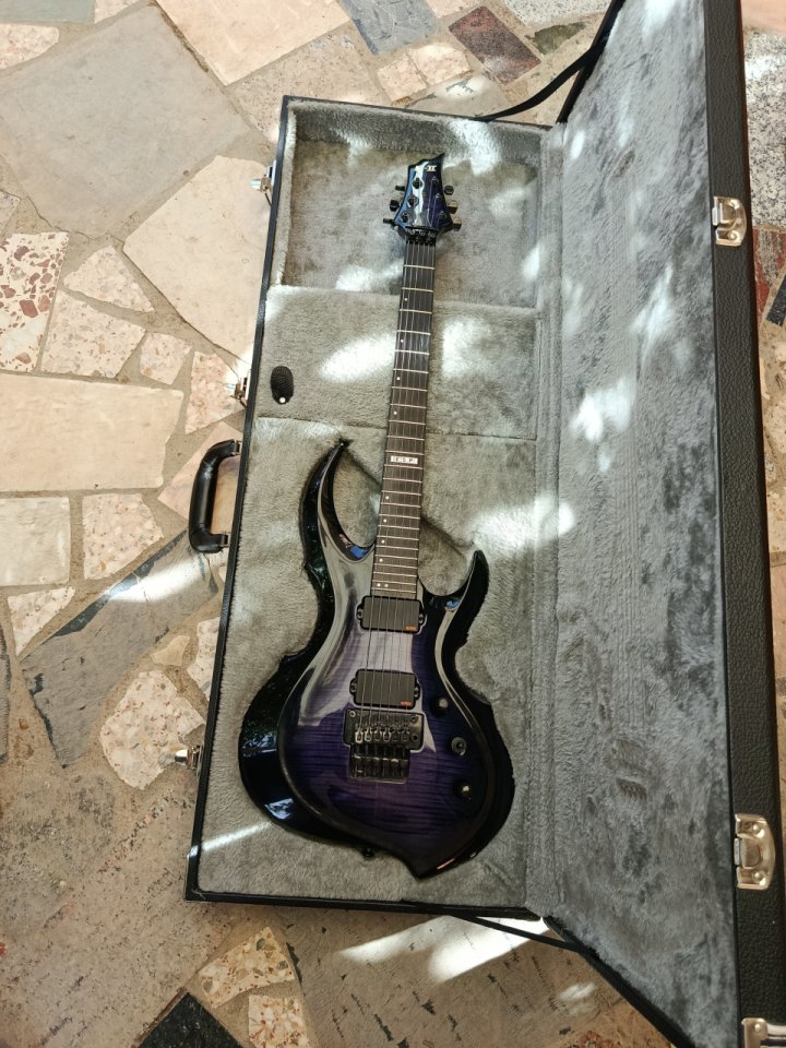 ESP E-II FRX Reindeer Blue(acepto cambios) de segunda mano · Foto 9 de 10 · Madrid · 2200 €