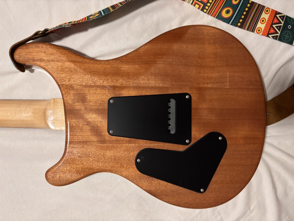PRS SE Custom 24 08 de segunda mano · Foto 4 de 6 · Valencia · 700 €