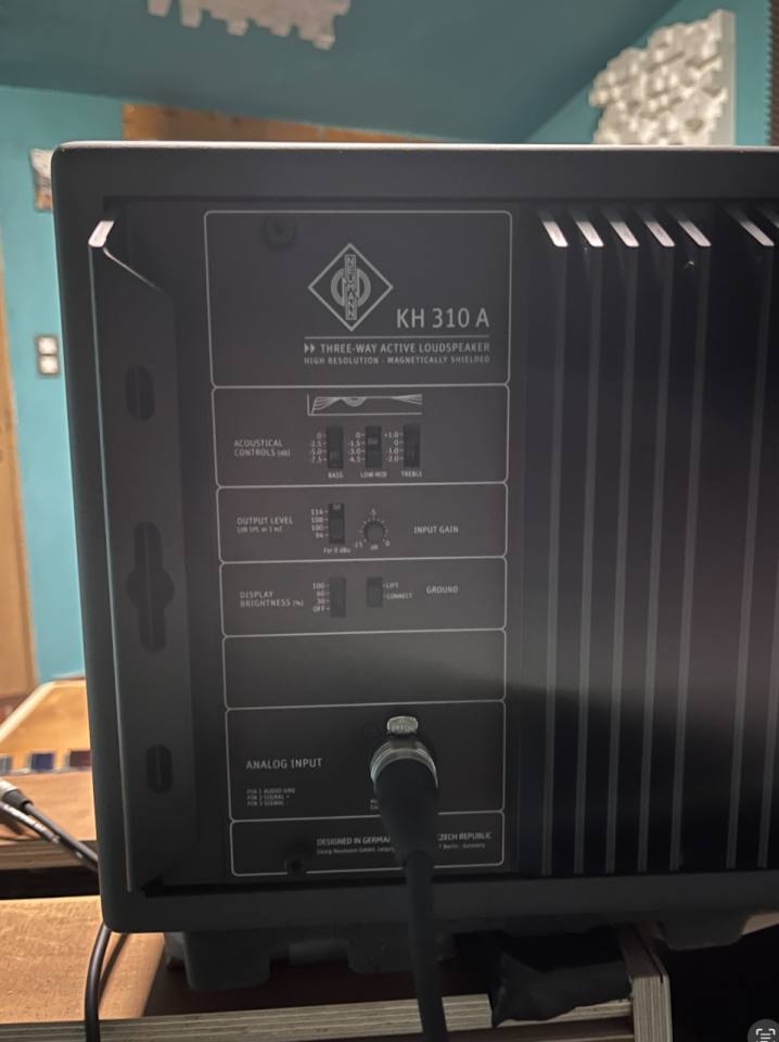 Monitores de estudio Neumann KH 310A