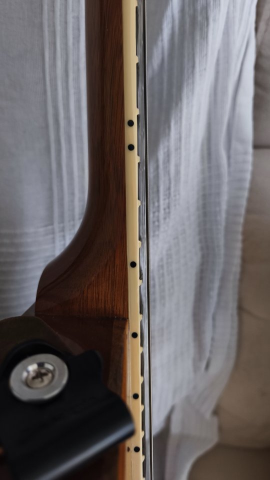 Les Paul studio figured