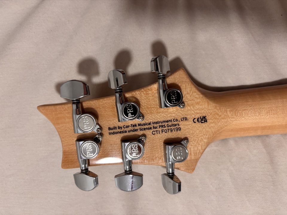 PRS SE Custom 24 08 de segunda mano · Foto 5 de 6 · Valencia · 700 €
