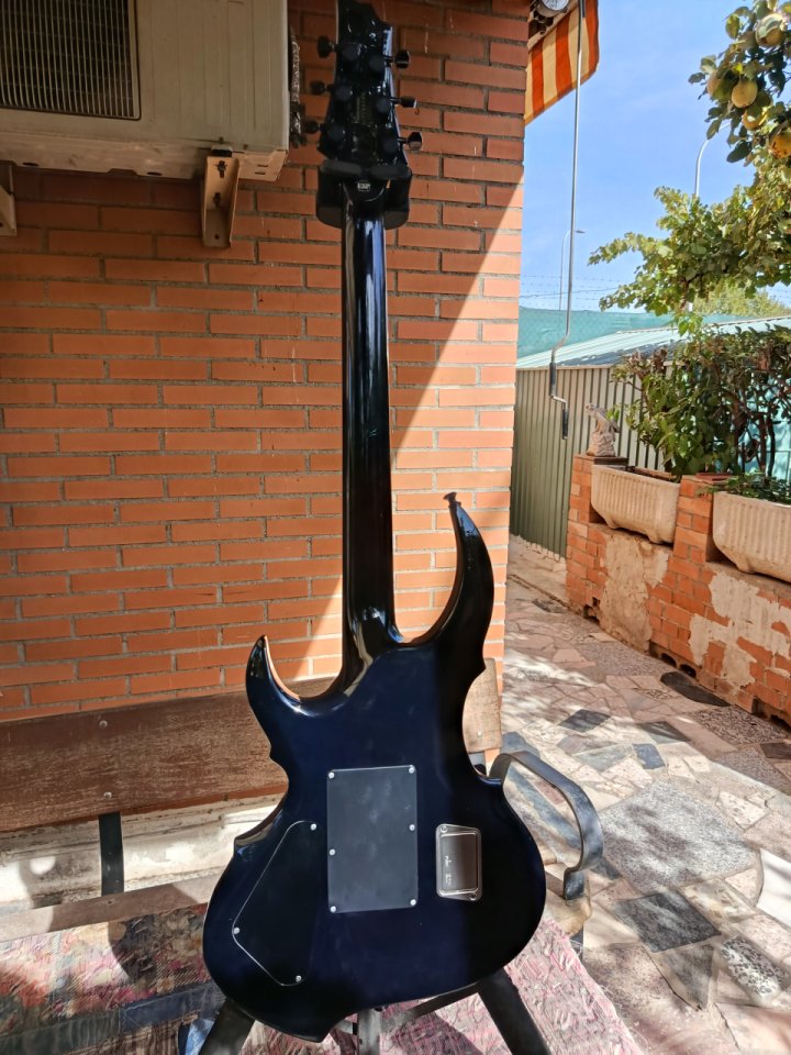 ESP E-II FRX Reindeer Blue(acepto cambios) de segunda mano · Foto 8 de 10 · Madrid · 2200 €