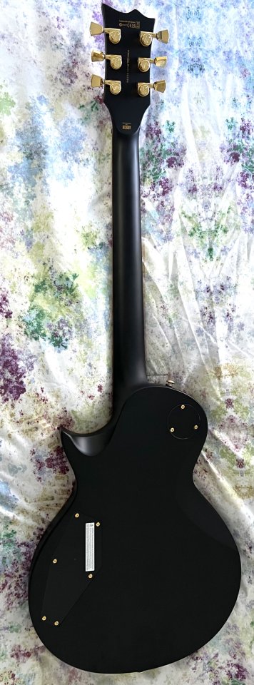LTD 1000 DeLuxe Duncan de segunda mano · Foto 2 de 2 · SC Tenerife · 850 €