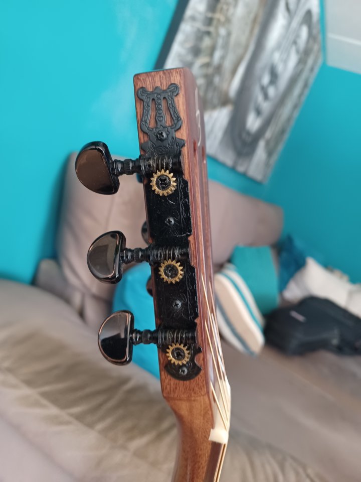 Harley Benton CLP-15E Custom Line Koa Parlor